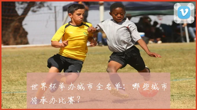 世界杯举办城市全名单：哪些城市将承办比赛？