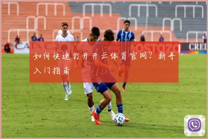如何快速打开开云体育官网？新手入门指南
